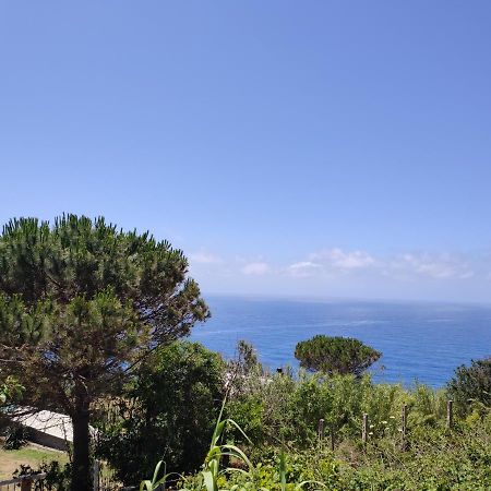 شقة Casa De Somma Forio di Ischia المظهر الخارجي الصورة