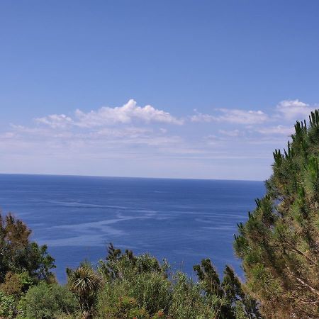 شقة Casa De Somma Forio di Ischia المظهر الخارجي الصورة